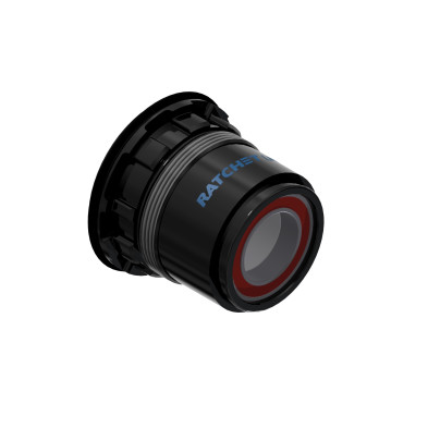 Núcleo DT SWISS RATCHET LN HYBRID para SRAM XD MTB en Categoría Núcleos de Dromosport: 