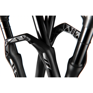 Horquilla DT Swiss F 232 ONE 29' 51mm Offset / Remote