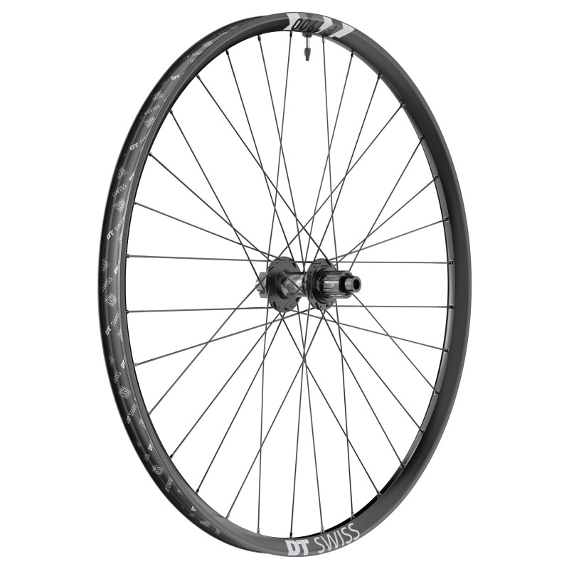 DT SWISS F 1900 CLASSIC - 29'. 12X148. TRASERA (CUBIERTA / TUBELESS READY)