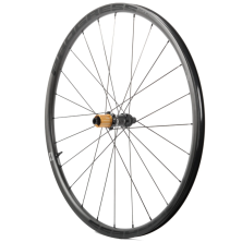 PROGRESS ASPIN DISC. Trasera (Cubierta / Tubeless Ready)