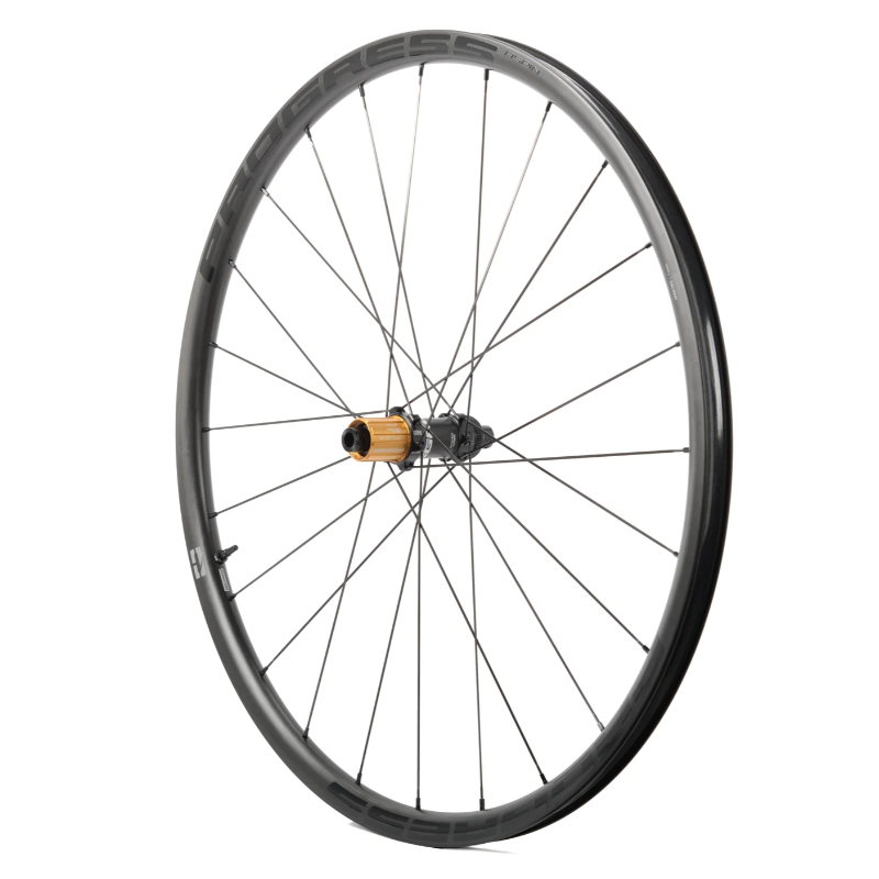 PROGRESS ASPIN DISC. Trasera (Cubierta / Tubeless Ready)