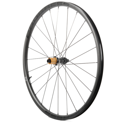 PROGRESS ASPIN DISC. Trasera (Cubierta / Tubeless Ready)