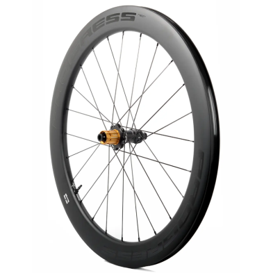 PROGRESS NEON DISC GRAFENO. Trasera (Cubierta / Tubeless Ready)