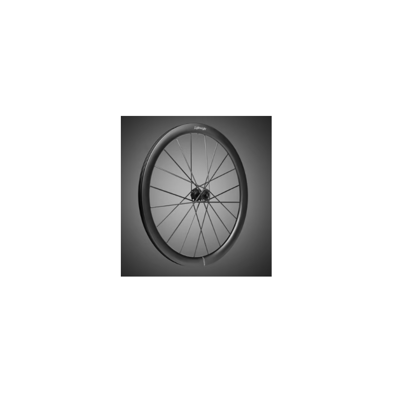 LIGHTWEIGHT MEILENSTEIN ART DISC. DELANTERA (CUBIERTA/TUBELESS)