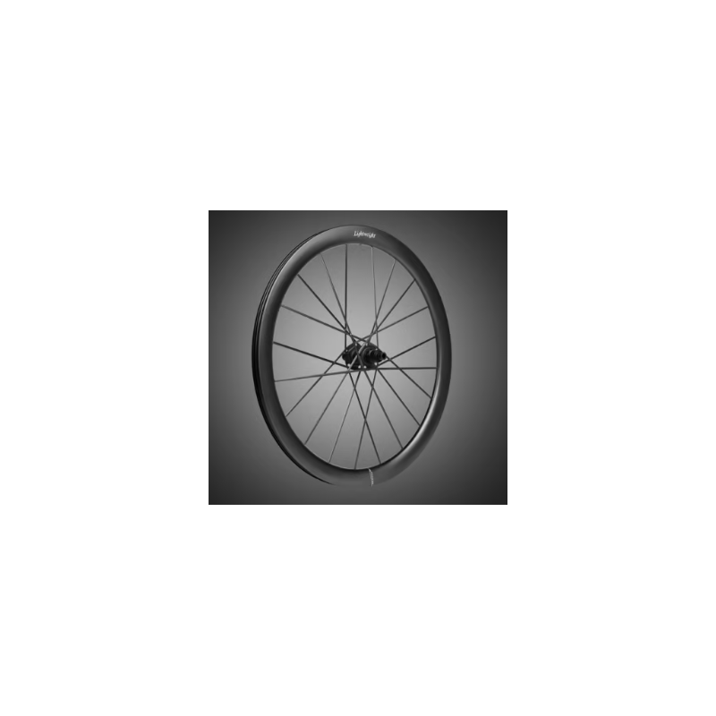 LIGHTWEIGHT MEILENSTEIN ART DISC. TRASERA (CUBIERTA/TUBELESS)