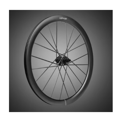 LIGHTWEIGHT MEILENSTEIN ART DISC. TRASERA (CUBIERTA/TUBELESS)