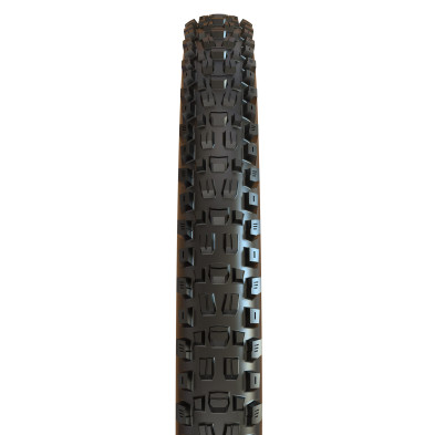 MAXXIS ASSEGAI