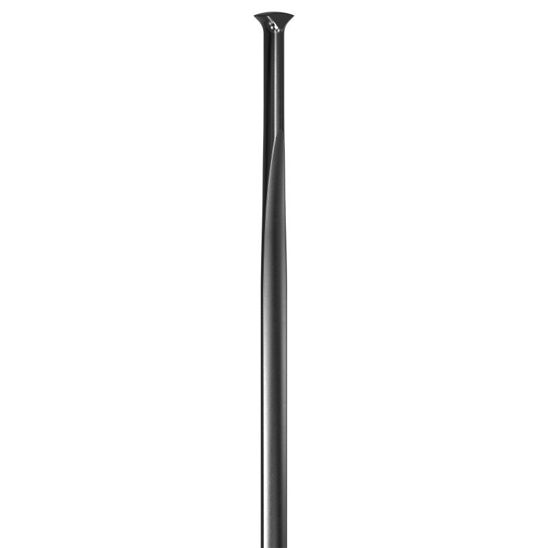 Radio DT SWISS Aerolite II Straight Pull T-Head 2.0/0.7/3.1 Negro