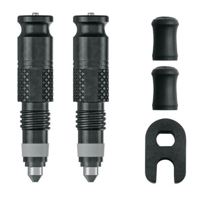 Kit conversion SCHWALBE VALVULA TUBELESS A VALVULA SCHWALBE CLIK. 2 ud