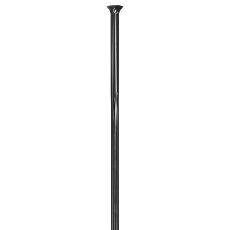 Radio DT SWISS Revolite Straight Pull T-Head 2.0/1.3/2.3 Negro