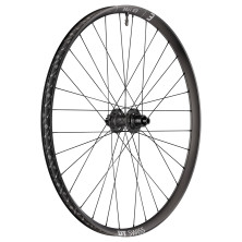 DT SWISS EX 1700 CLASSIC 30 IS - 29'. 12X148. TRASERA (CUBIERTA / TUBELESS READY)