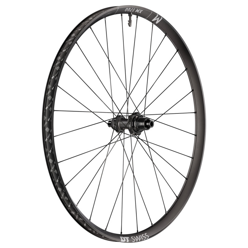 DT SWISS XM 1700 SPLINE 30 - 29'. 12X148. TRASERA (CUBIERTA / TUBELESS READY) 2027