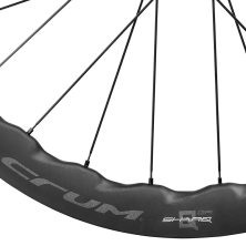 FULCRUM SHARQ GR. Juego (Cubierta / Tubeless Ready)