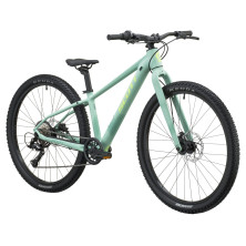 Scott Scale 600. Bicicleta infantil. Land Green